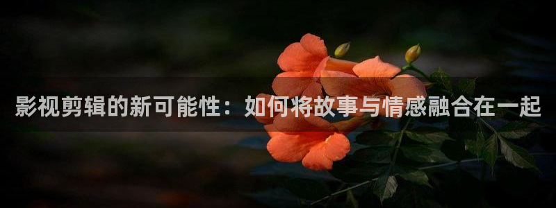 奇奇理论影院：影视剪辑的新可能性：如何将故事与情感融合在一起