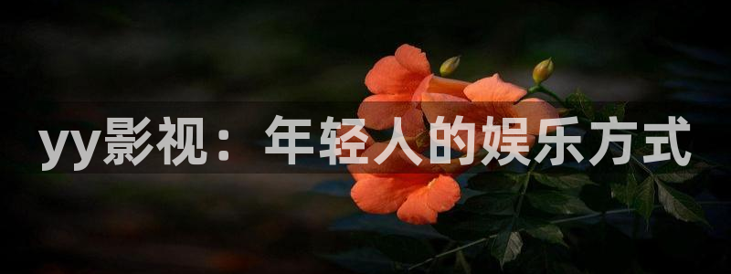 免费观看奇奇影院：yy影视：年轻人的娱乐方式