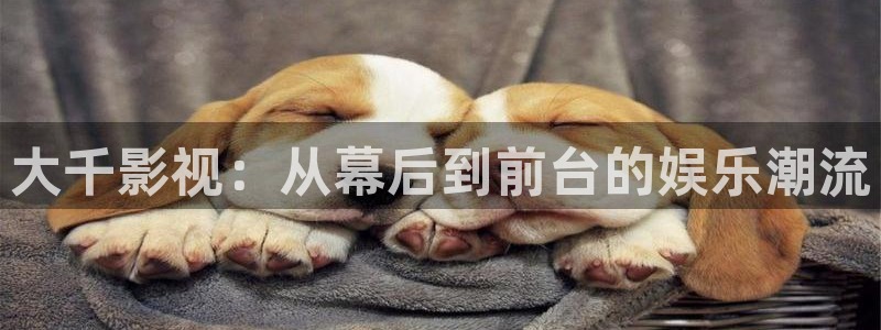 无颜之月奇奇影院：大千影视：从幕后到前台的娱乐潮流