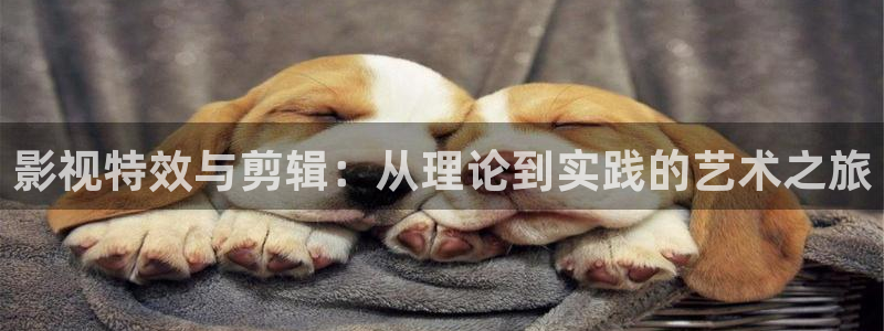 奇奇影视理论：影视特效与剪辑：从理论到实践的艺术之旅