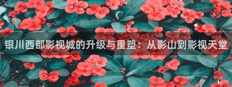 妈妈的朋友奇奇影院：银川西部影视城的升级与重塑：从影山到影视天堂