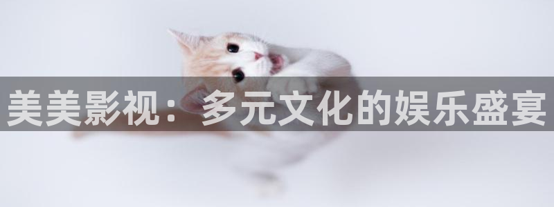 奇奇网影院：美美影视：多元文化的娱乐盛宴